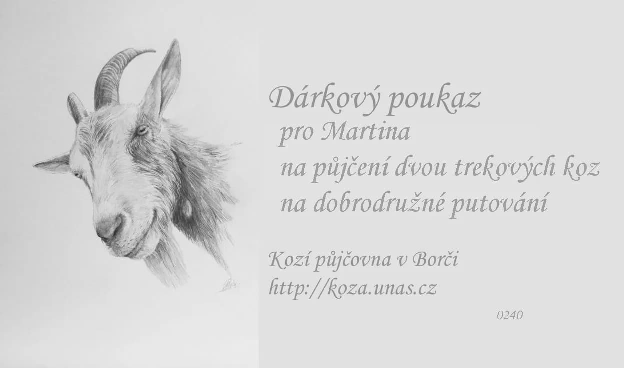 Vzor dárkového poukazu 1