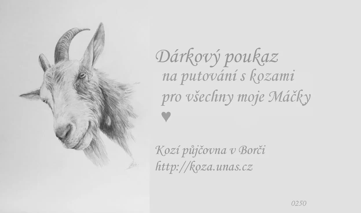 Vzor dárkového poukazu 3