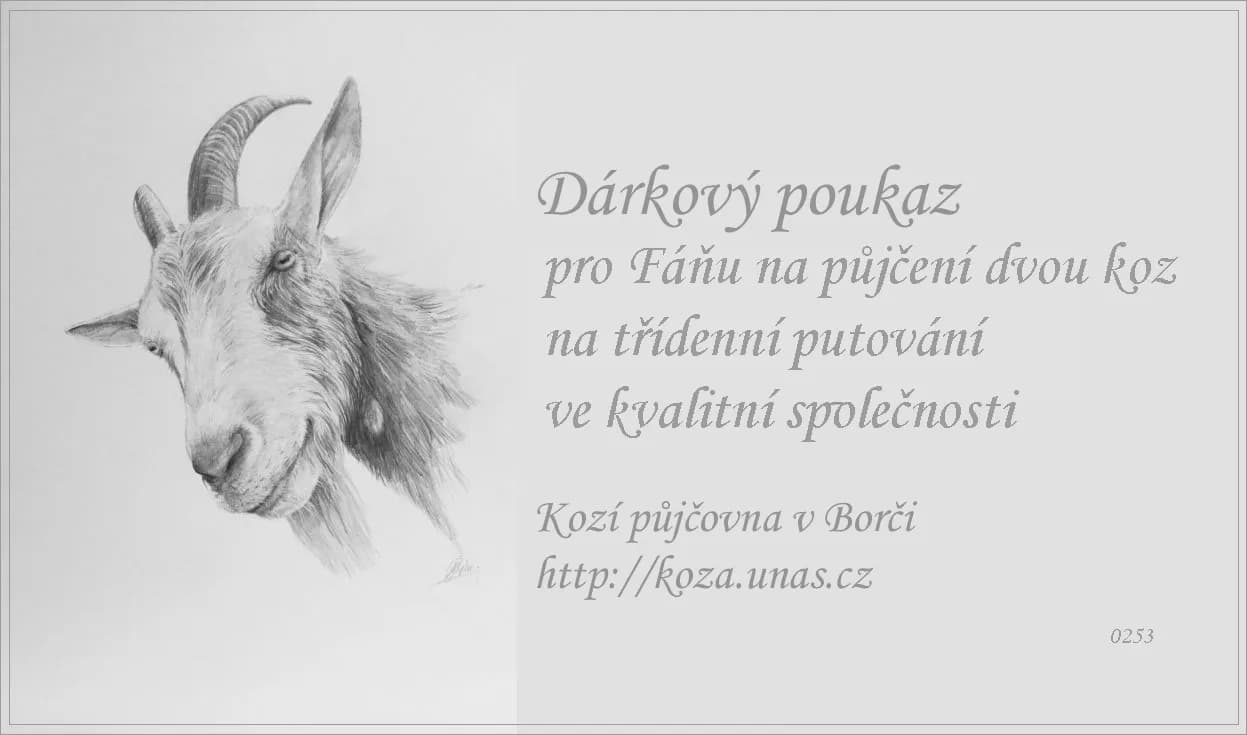 Vzor dárkového poukazu 4