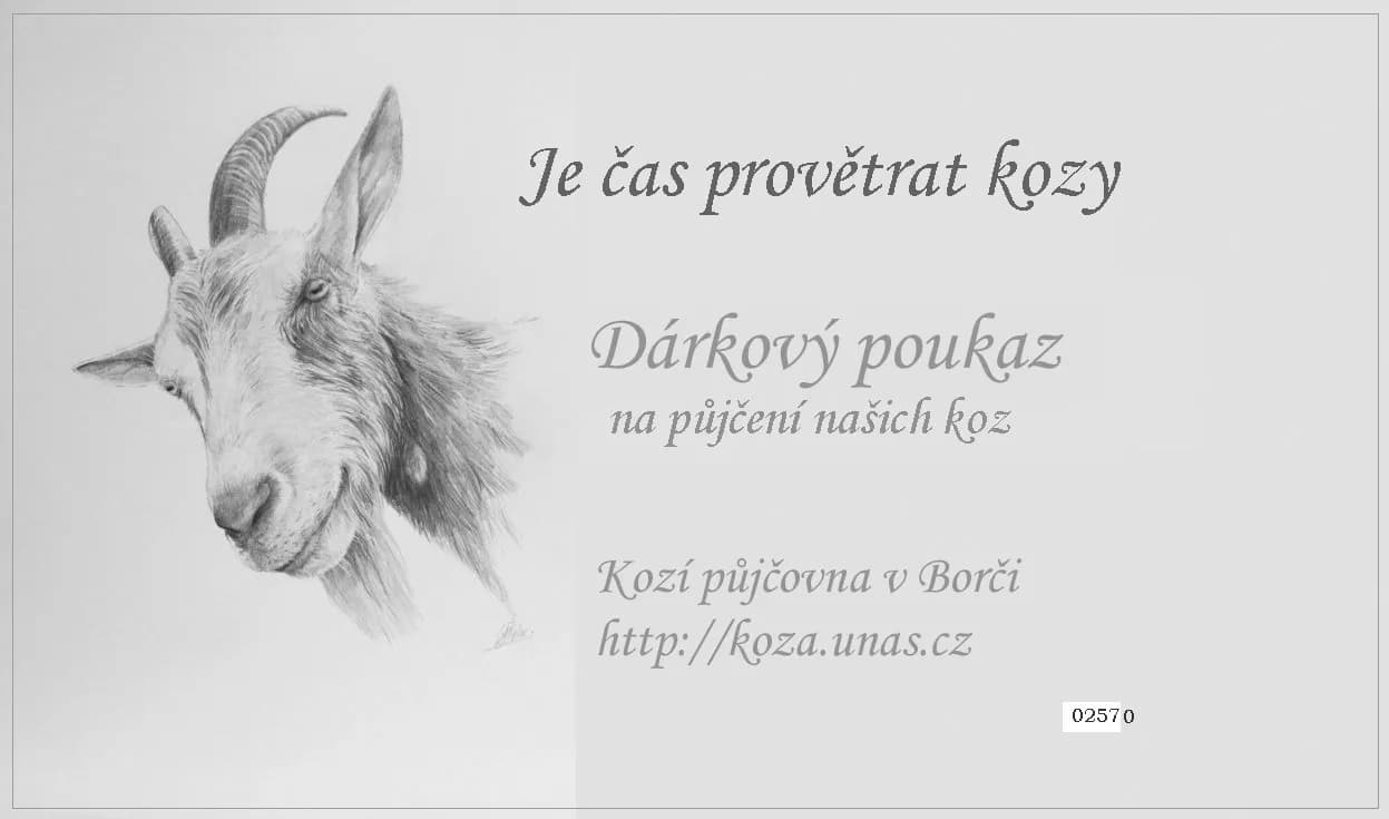 Vzor dárkového poukazu 5