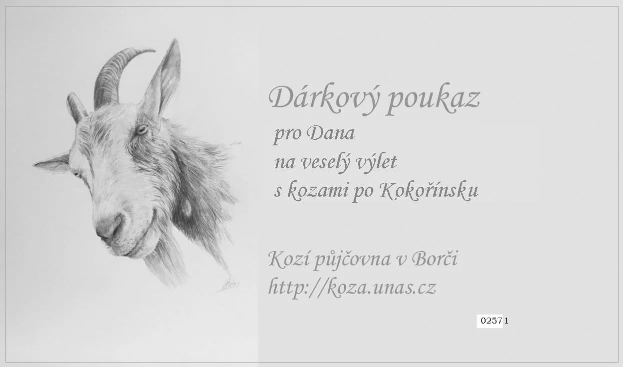 Vzor dárkového poukazu 6