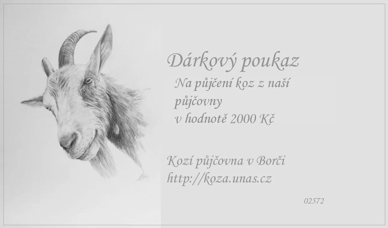 Vzor dárkového poukazu 7