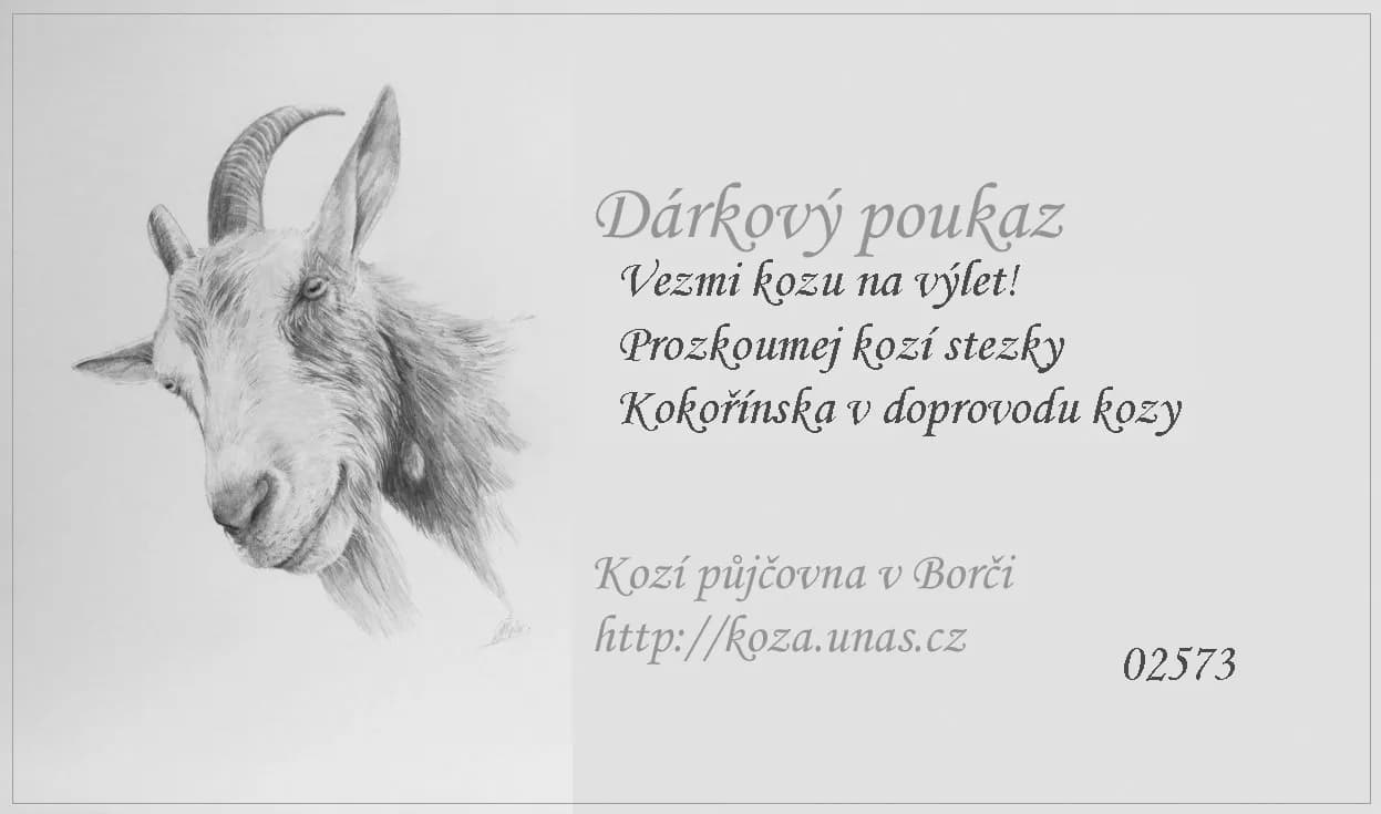Vzor dárkového poukazu 8