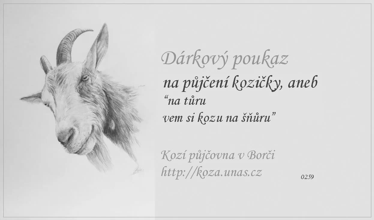 Vzor dárkového poukazu 9