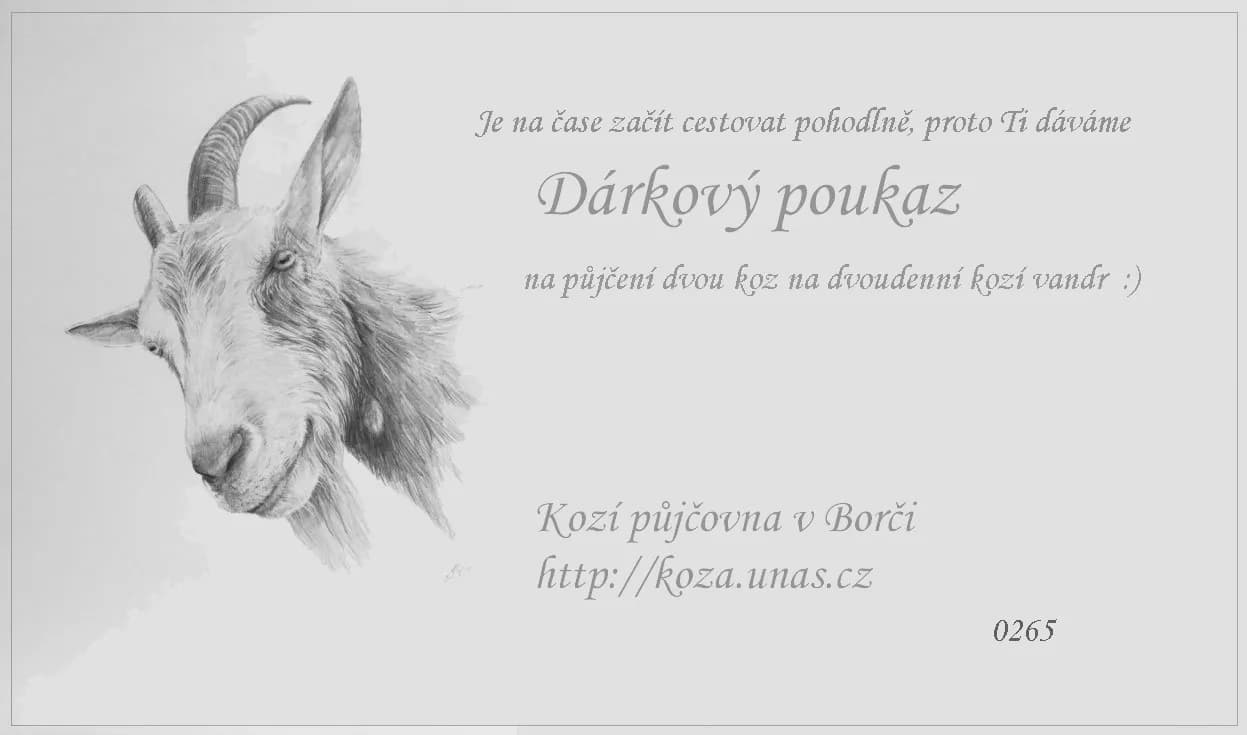 Vzor dárkového poukazu 10