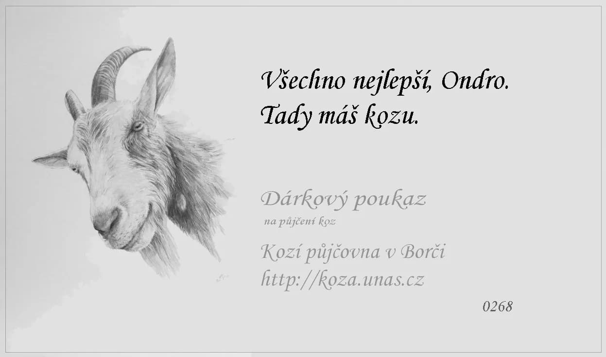 Vzor dárkového poukazu 11
