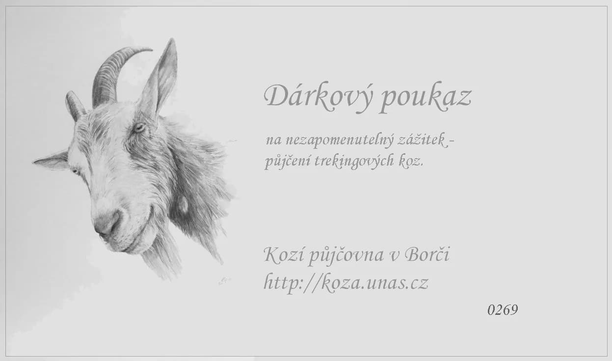 Vzor dárkového poukazu 12