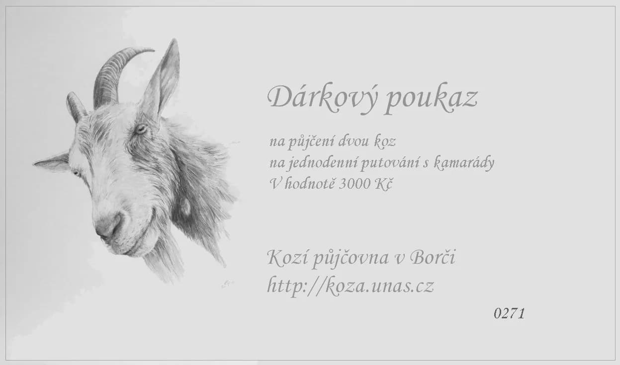 Vzor dárkového poukazu 13