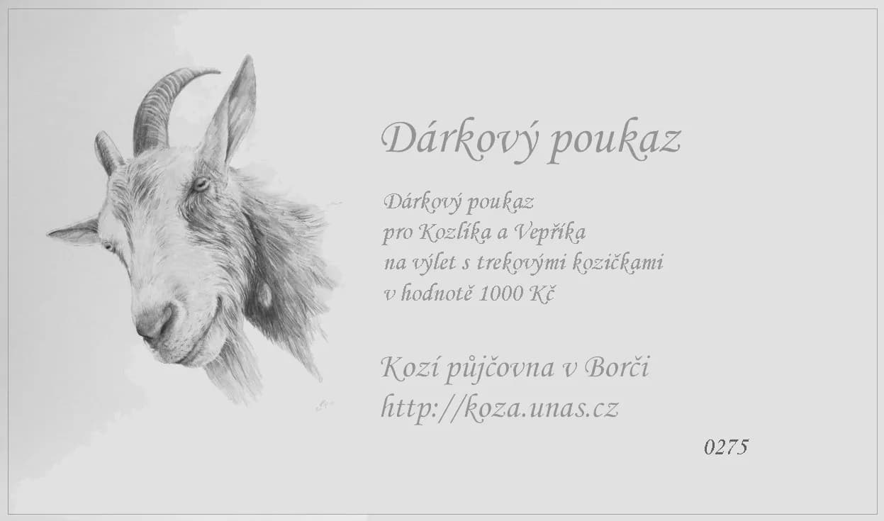 Vzor dárkového poukazu 14