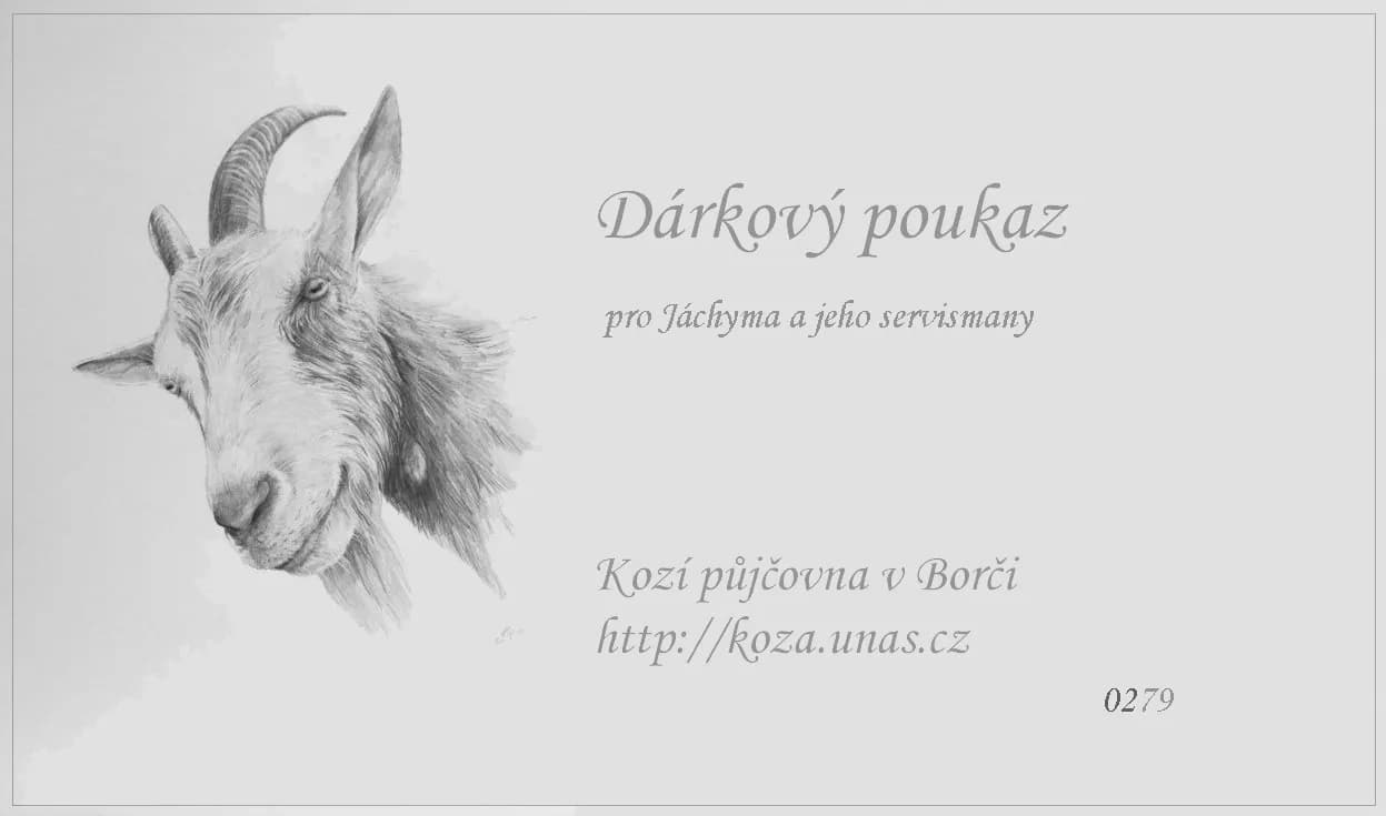 Vzor dárkového poukazu 16
