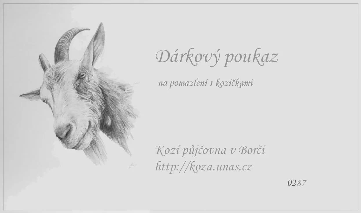 Vzor dárkového poukazu 18