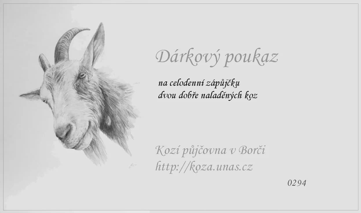 Vzor dárkového poukazu 19