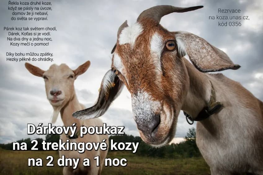 Vzor dárkového poukazu 9