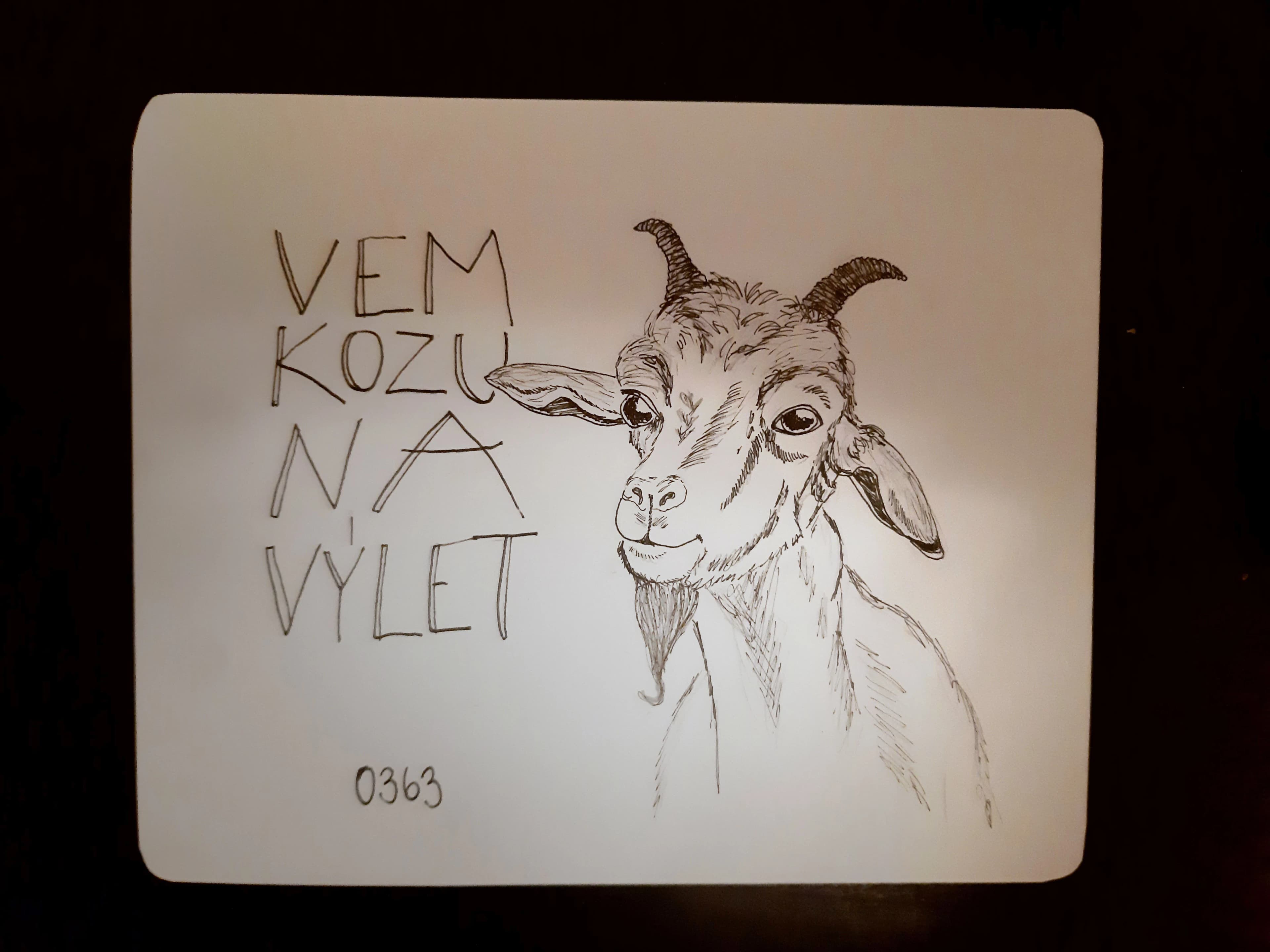 Vzor dárkového poukazu 10