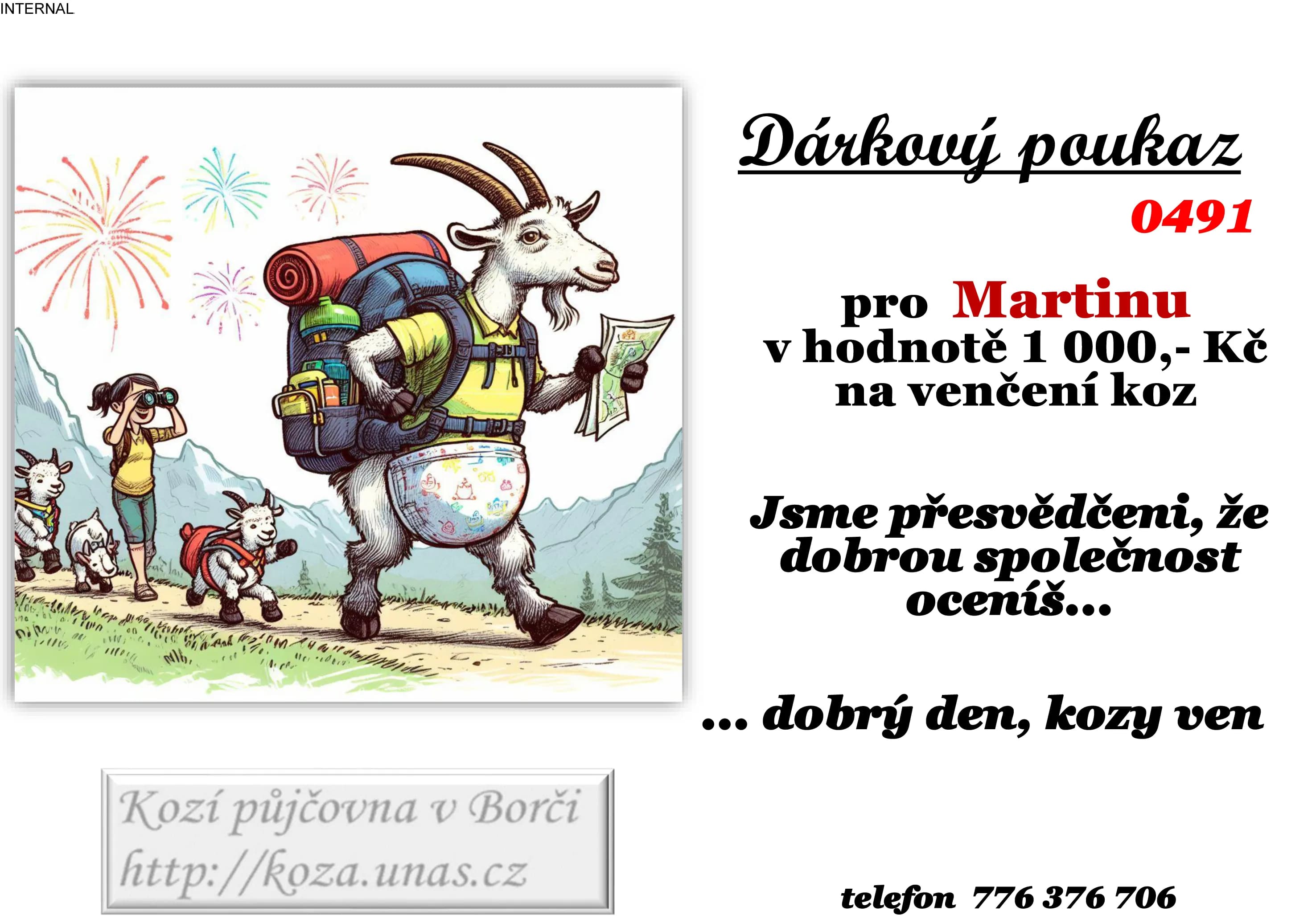 Vzor dárkového poukazu 13