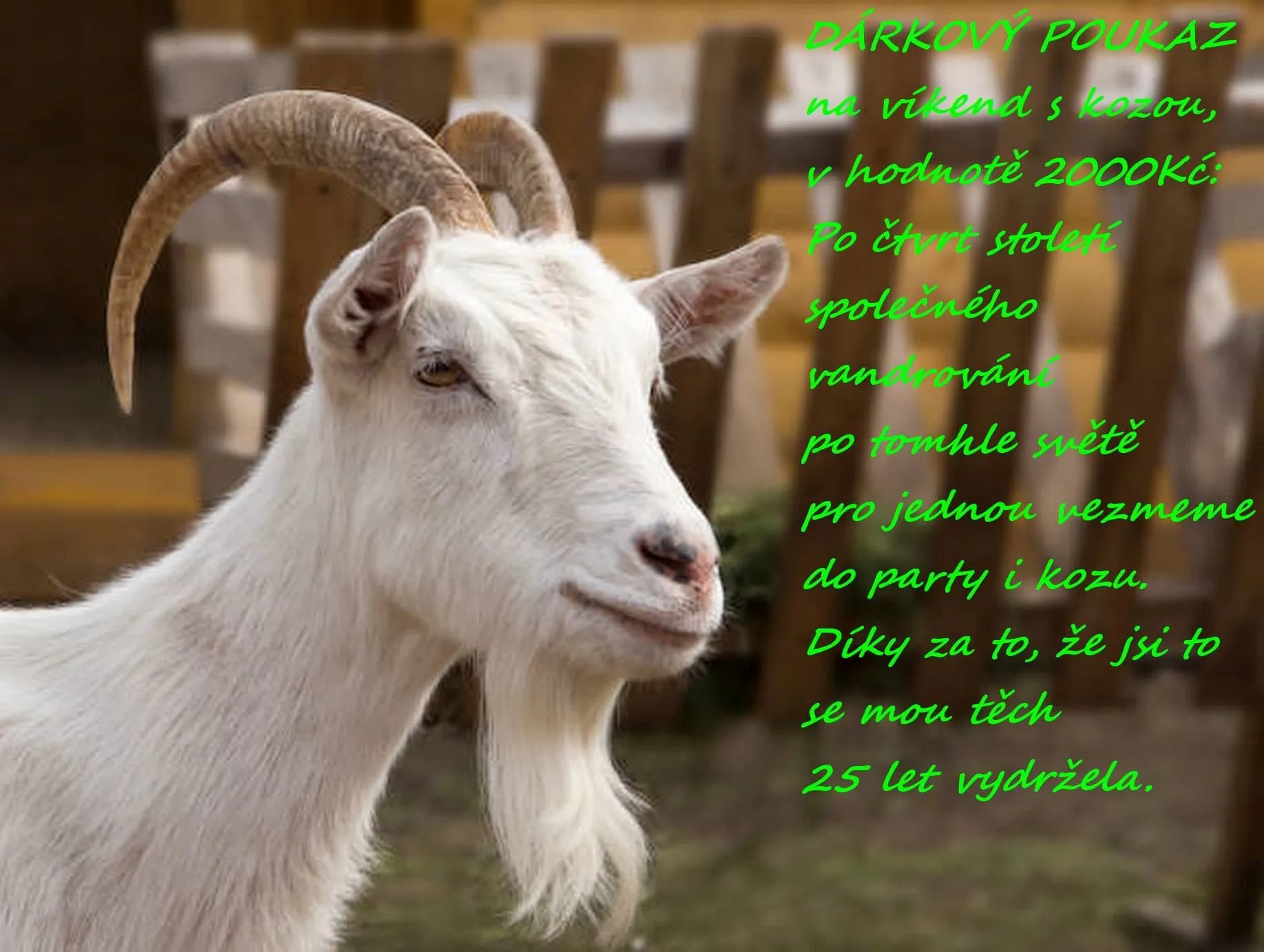 Vzor dárkového poukazu 15