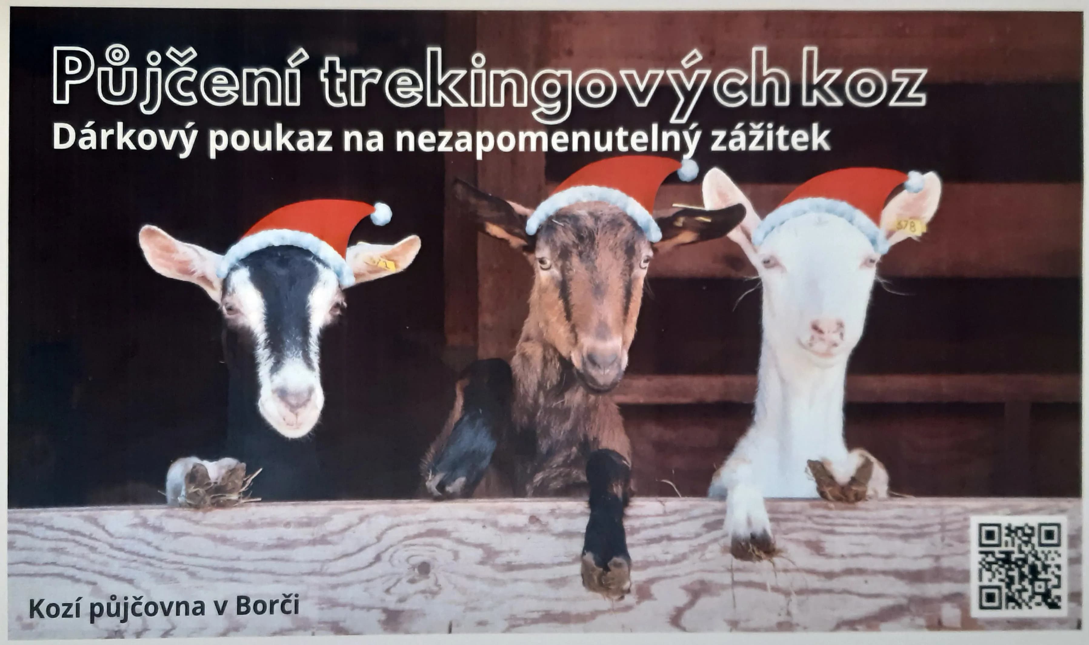 Vzor dárkového poukazu 4