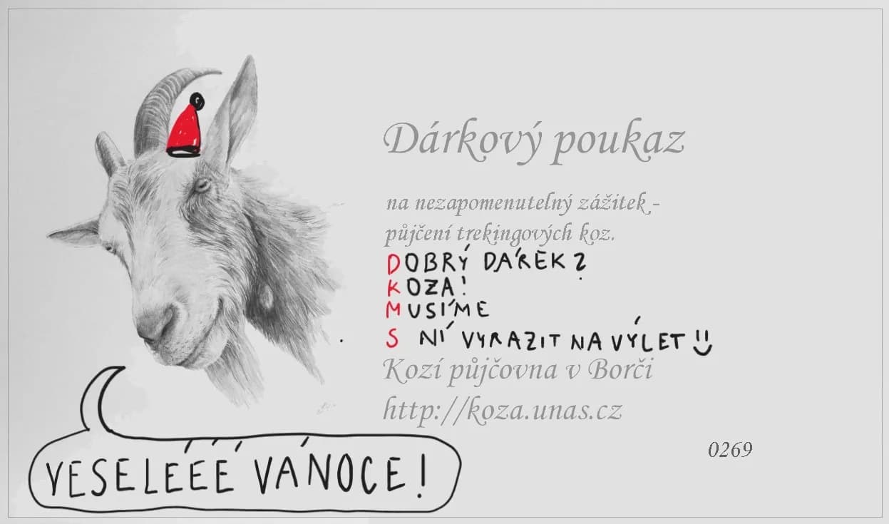Vzor dárkového poukazu 7