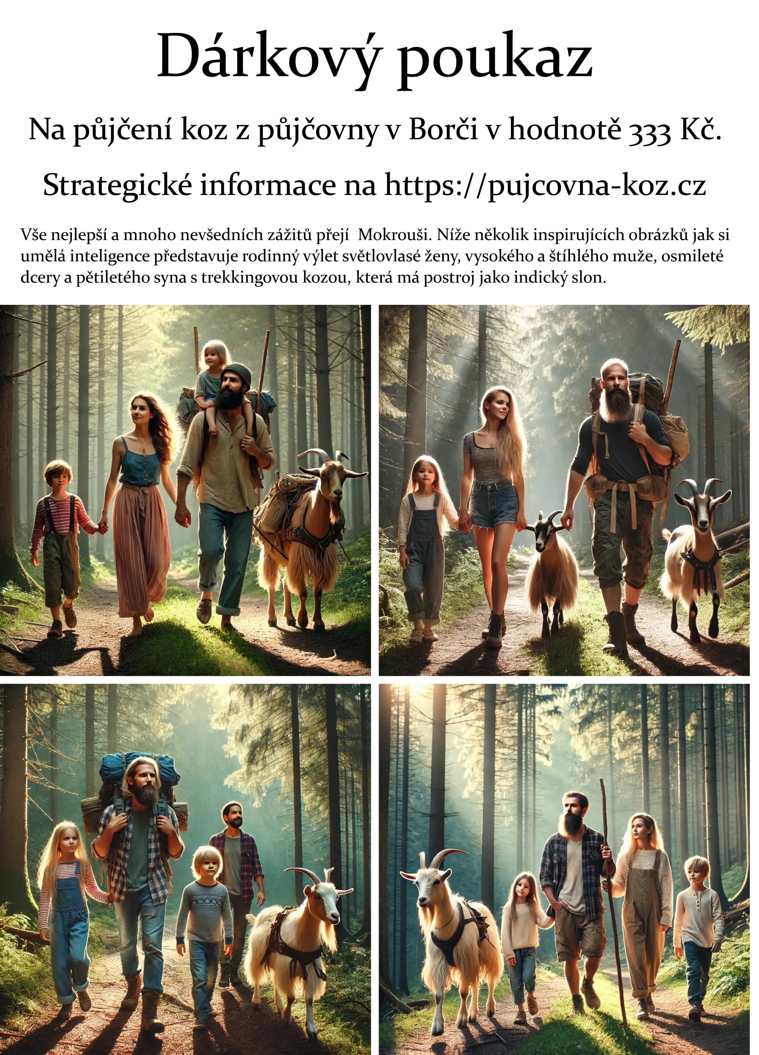 Vzor dárkového poukazu 19