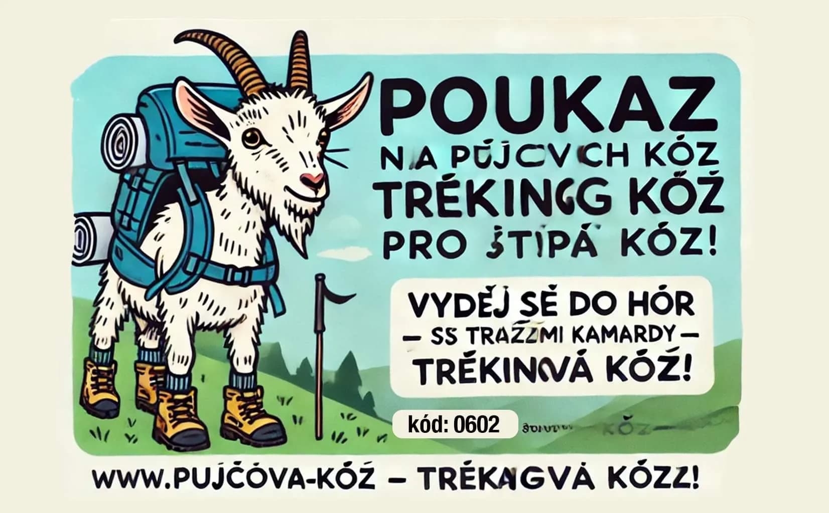 Vzor dárkového poukazu 22