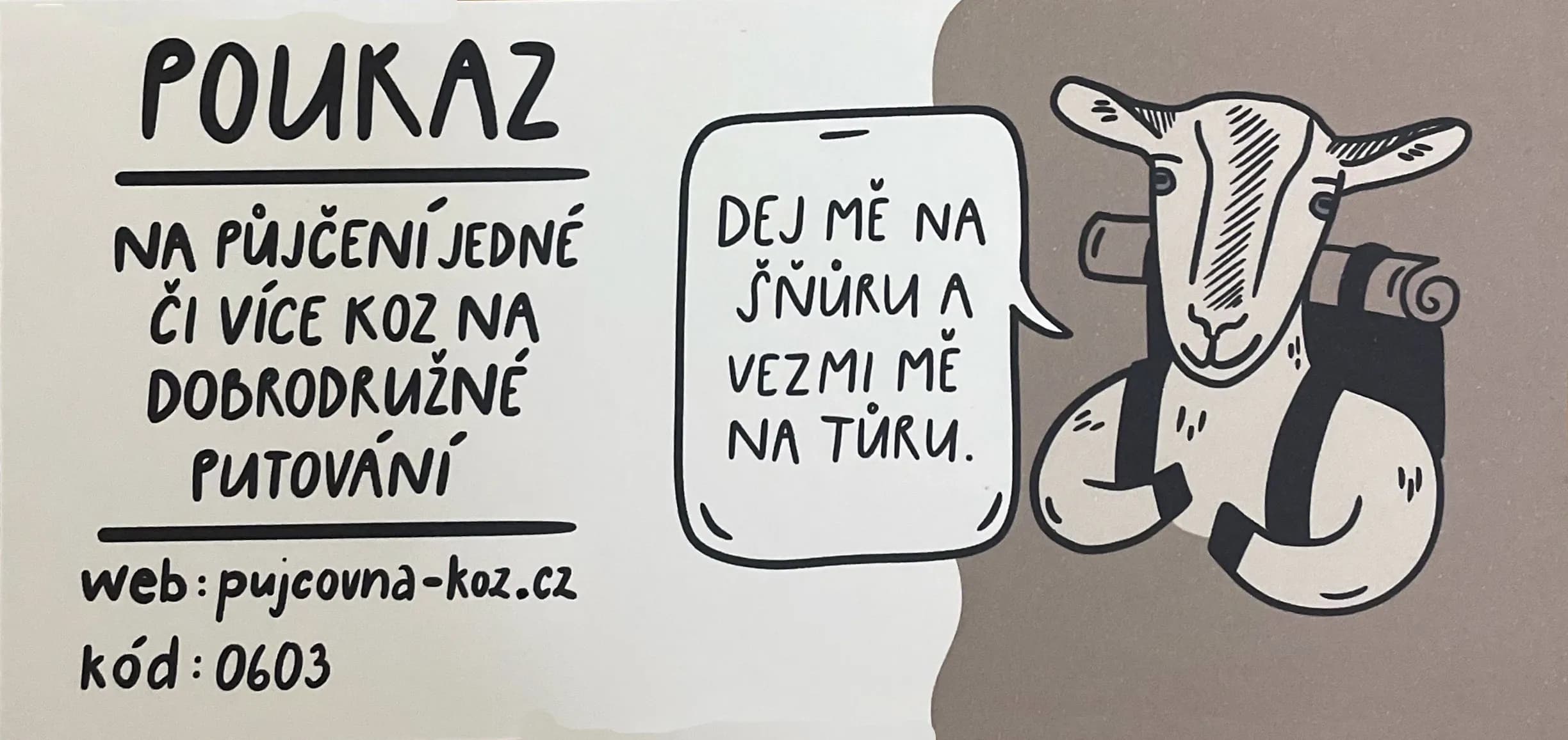 Vzor dárkového poukazu 23