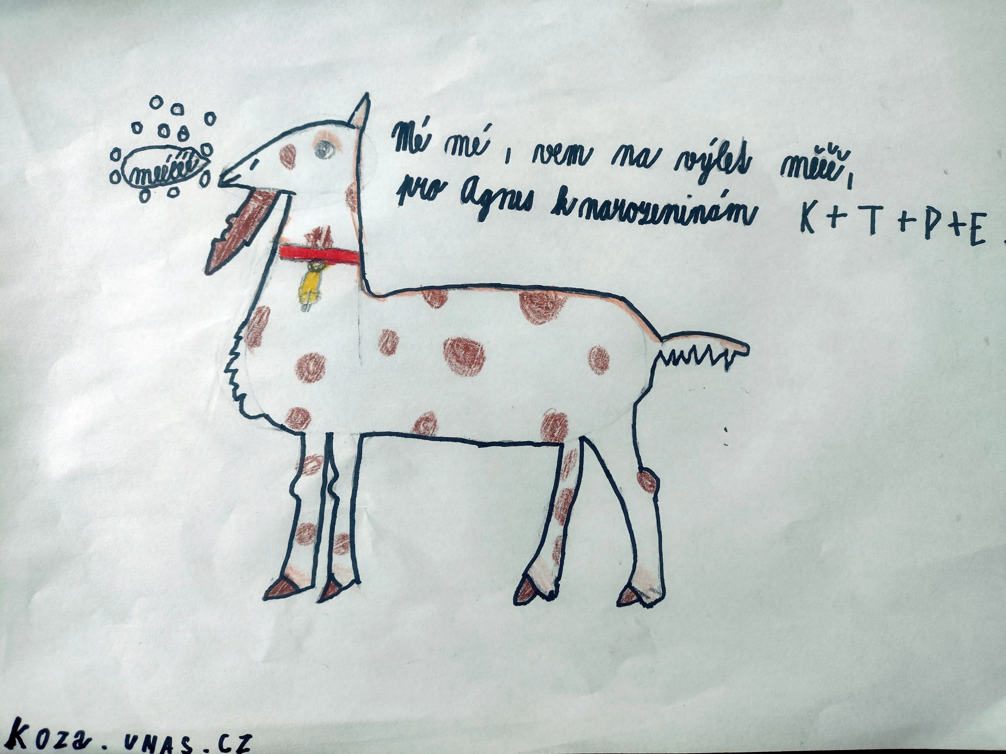 Vzor dárkového poukazu 24