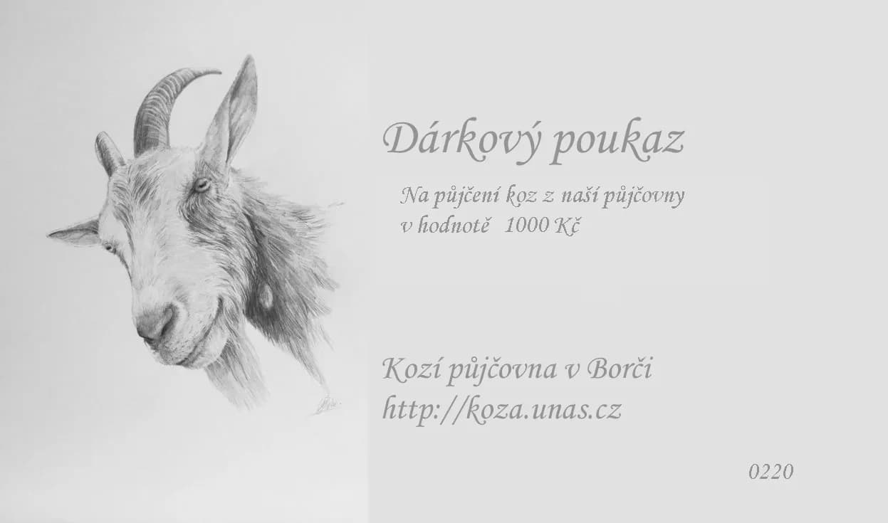 Vzor dárkového poukazu 20