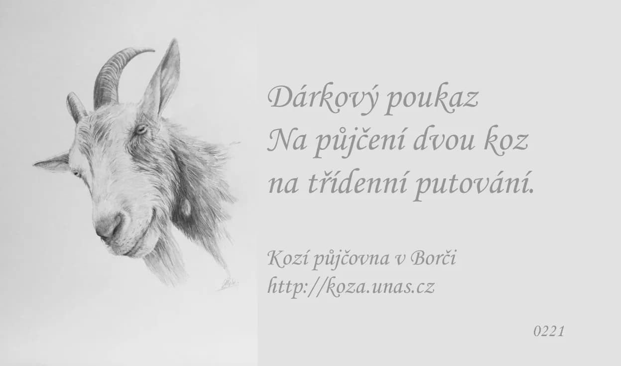 Vzor dárkového poukazu 21